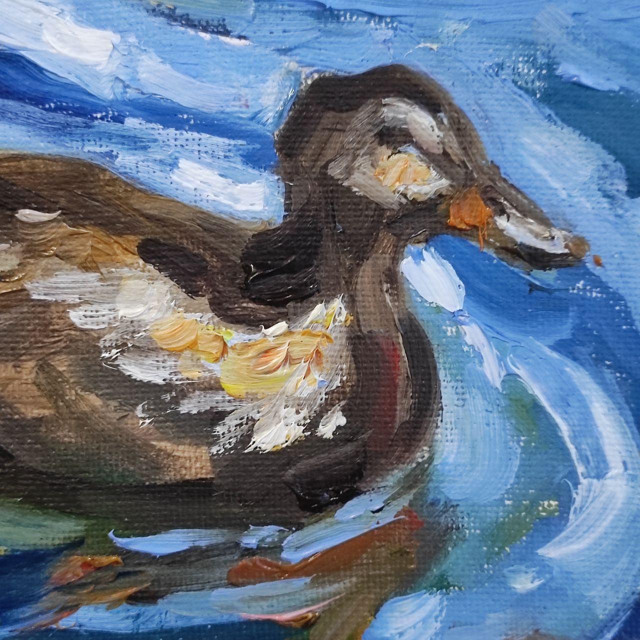 Mallard Original oil painting 5x7"