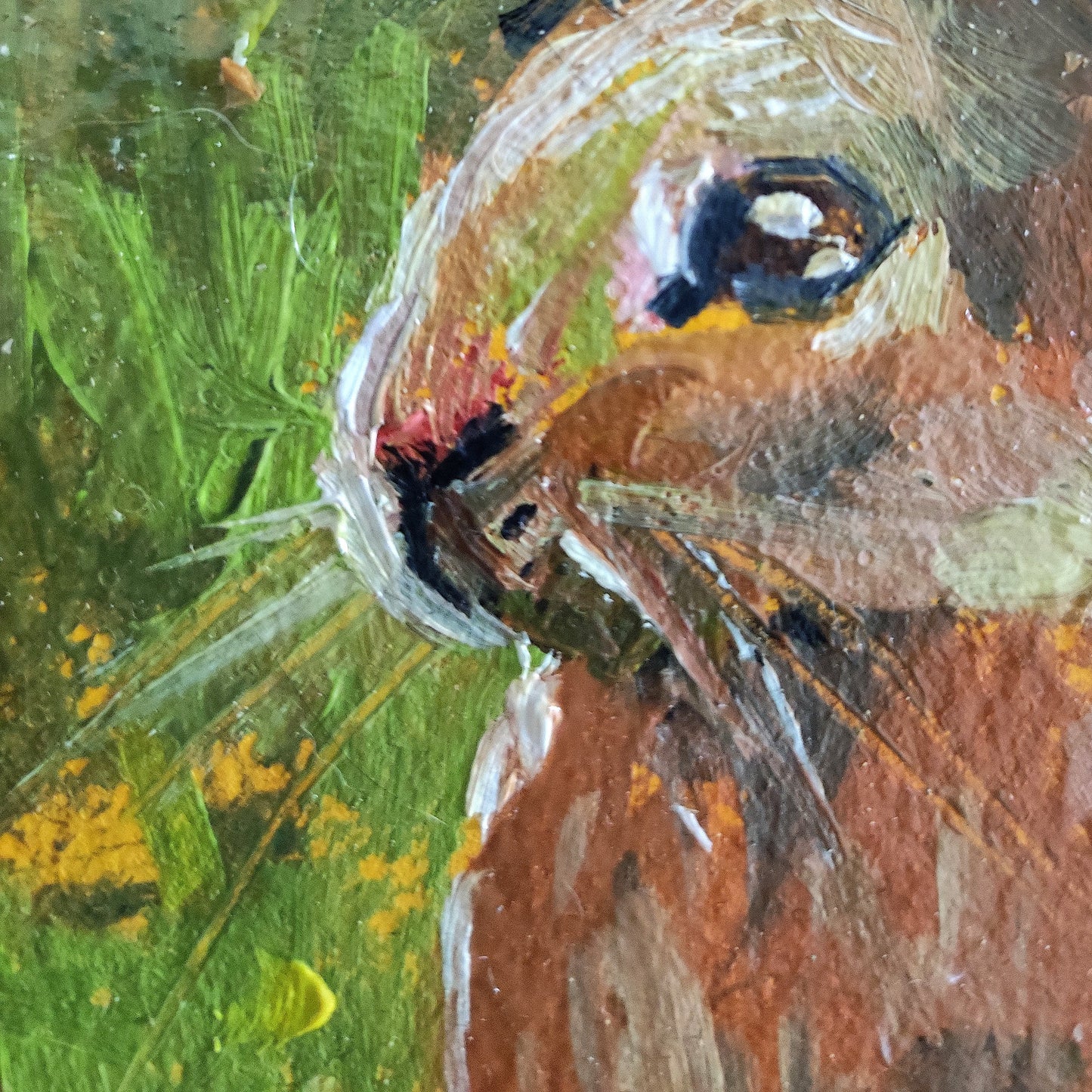 Bunny. Framed original oil painting.