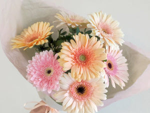 Hento hetki – kimppu vaaleasävyisistä gerberoista 🌸

Tämä raikas ja herkkä kimppu koostuu vaalean sävyisistä gerberoista, jotka huokuvat keveyttä, iloa ja lempeää kauneutta. Gerberat ovat kestäviä ja näyttäviä kukkia, jotka sopivat täydellisesti niin arkeen kuin juhlaan.

🌷 Täydellinen lahja kiitokseksi, syntymäpäiväksi tai ilahduttamaan ihan muuten vain
🎨 Värit vaihtelevat kauden ja saatavuuden mukaan, mutta tunnelma säilyy aina pehmeänä ja valoisana
📦 Kimppu pakataan huolellisesti ja toimitetaan tuore