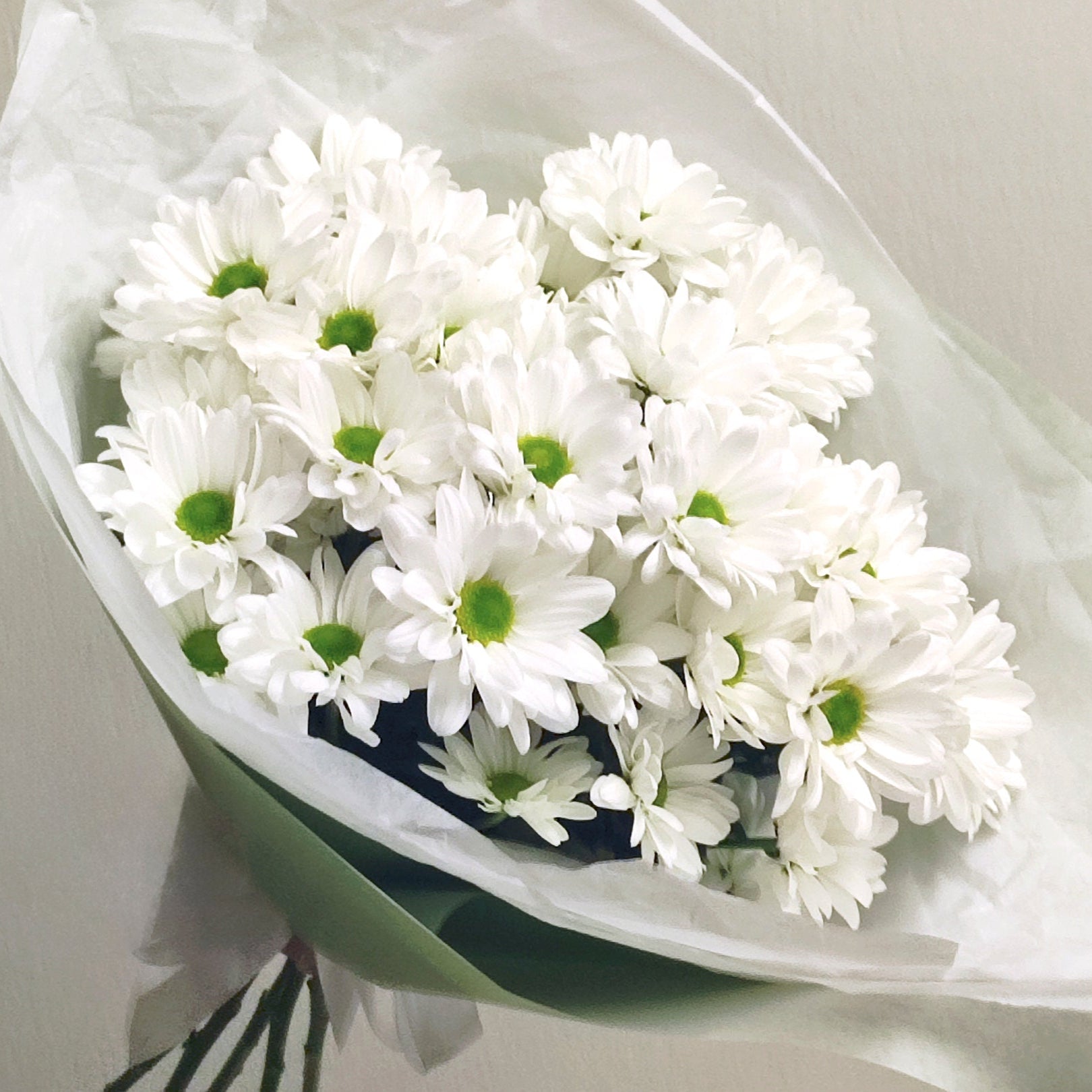 Elegantti valkoinen krysanteemikimppu | Tuoreet kukat Lahdessa, Suomessa