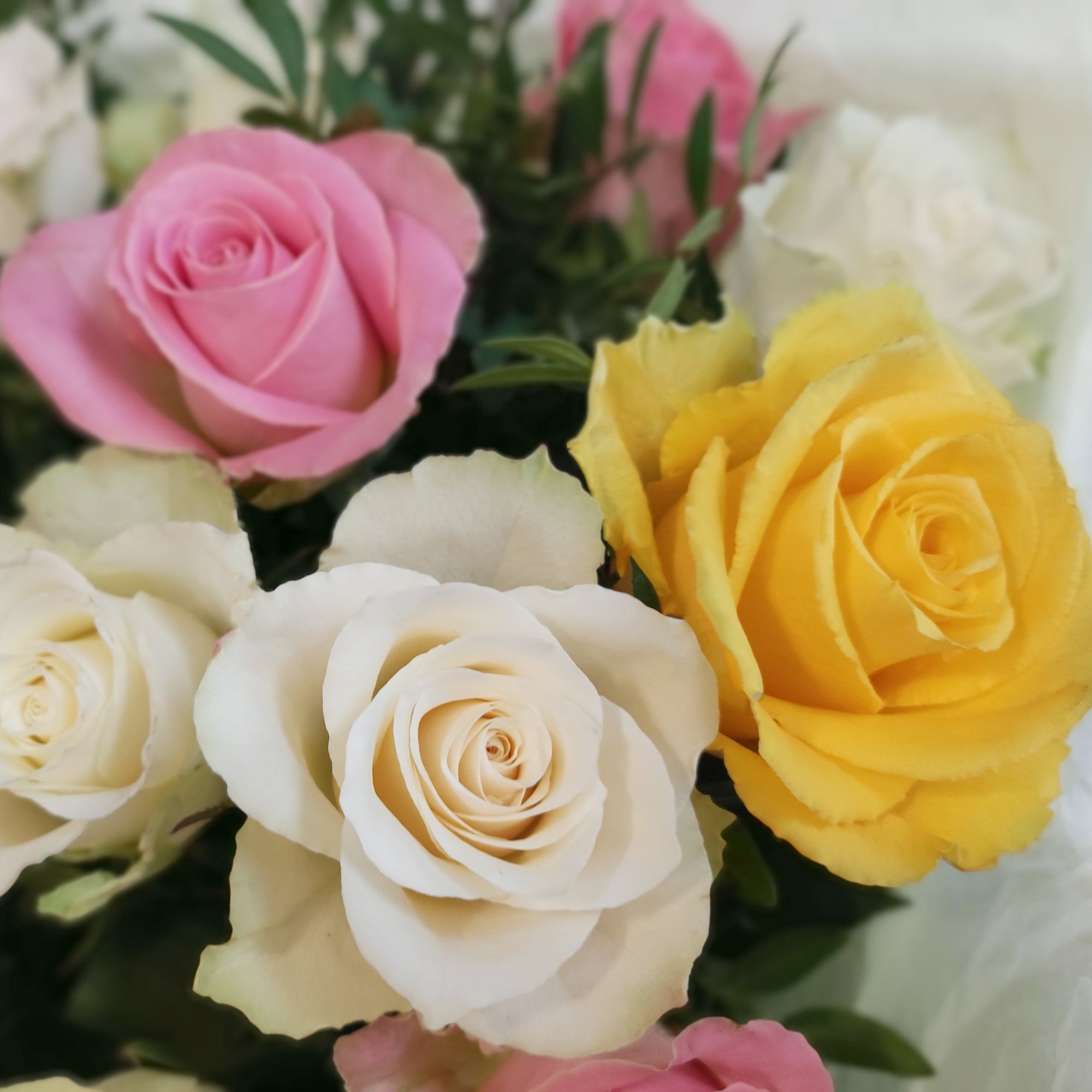 Luxurious large bouquet of roses in soft shades 🌸🤍✨