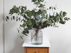 Raikas eukalyptuskimppu – luonnollista eleganssia