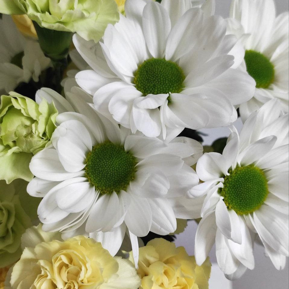 Summer sunny bouquet with chrysinthemums-daisies and dianthus.