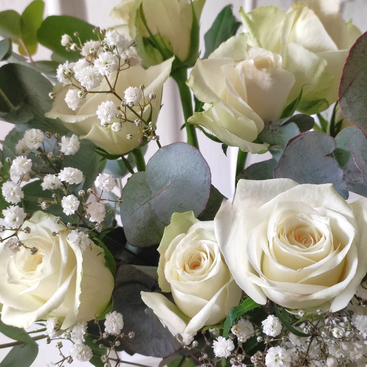 Starry Night. Bouquet of white roses and gypsophila in dark package