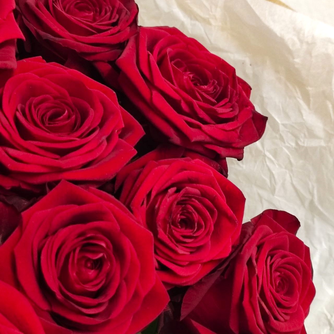 🌹 Punaiset ruusut – Ajaton ja elegantti kukkakimppu 🌹