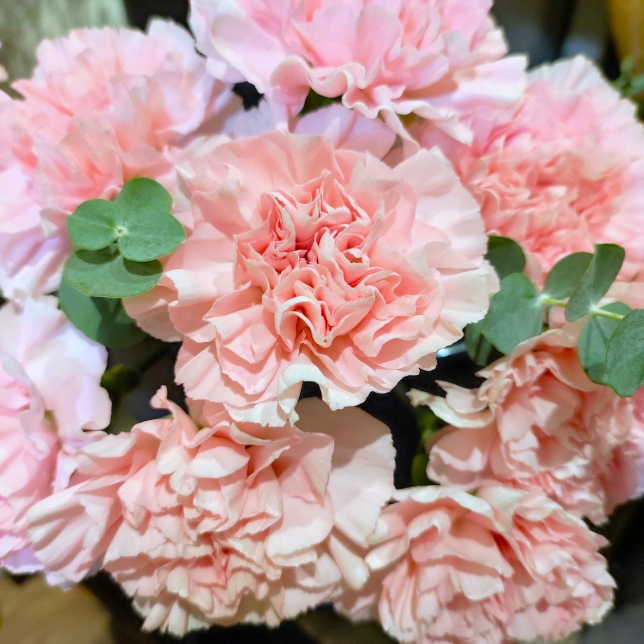 🌸 Vaaleanpunaiset neilikat ja eukalyptus – herkkä ja tyylikäs kukkakimppu 🌿