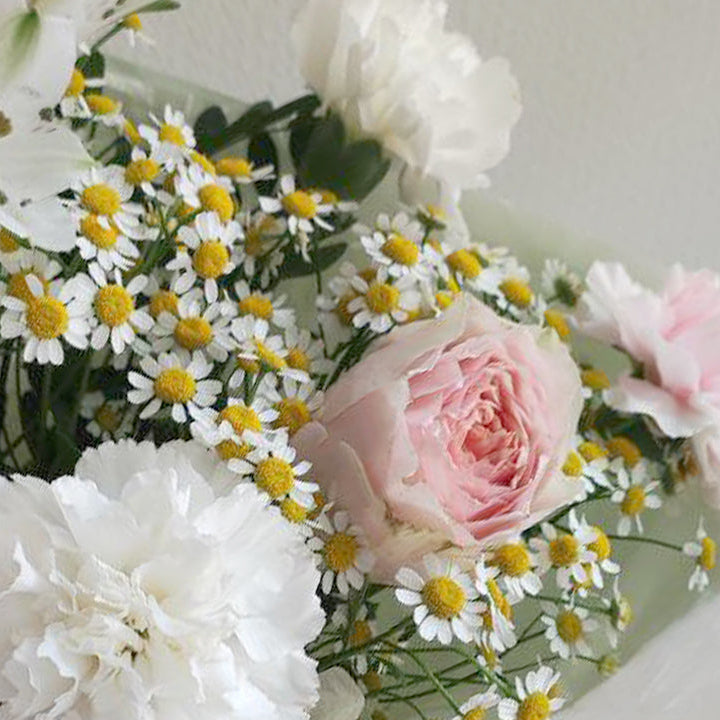 🌸 Vaaleanpunainen aamu – kimppu vaaleanpunaisista ruusuista ja päivänkakkaroista 🌸