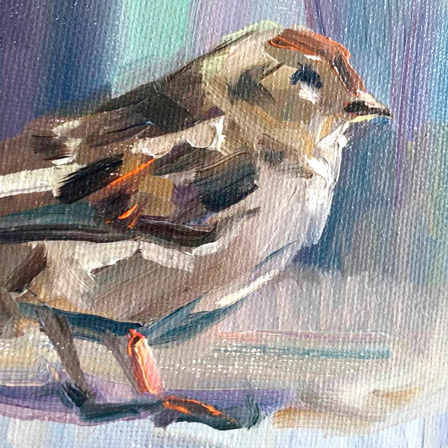 Sparrow. Framed original oil painting.