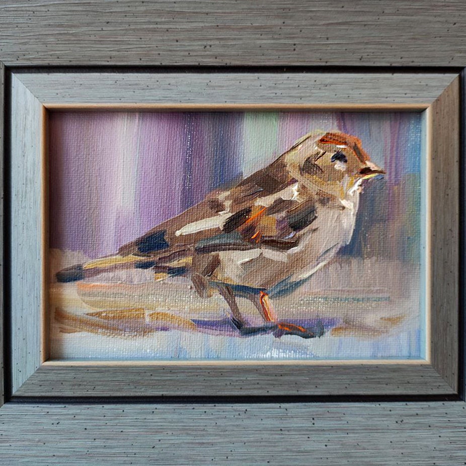 Sparrow. Framed original oil painting.