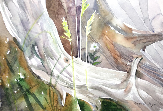 Original watercolor painting forest landscape. Old tree painting Cottagecore painting fairycore art goblincore forest wildflowers watercolor